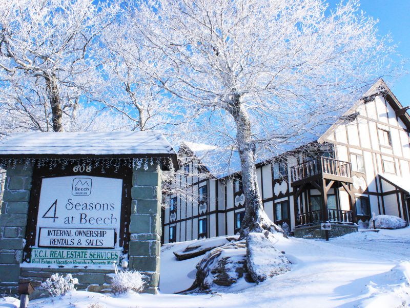 4 Seasons at Beech