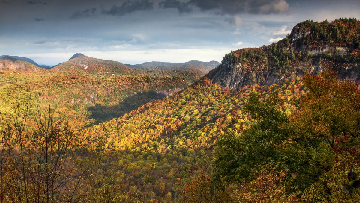 Bear-shaped shadow cast from mountains onto fall foliage below