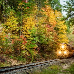 Fall Festivals, Events & Activities in North Carolina | VisitNC.com