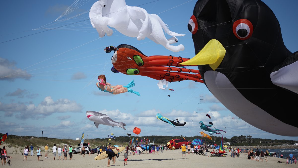 Many kites flying in air at kite festival