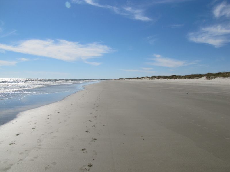 Bird Island Reserve | VisitNC.com