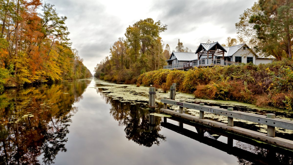 Calm swamp surrounded by bright fall foliage and visitors center on cloudy day