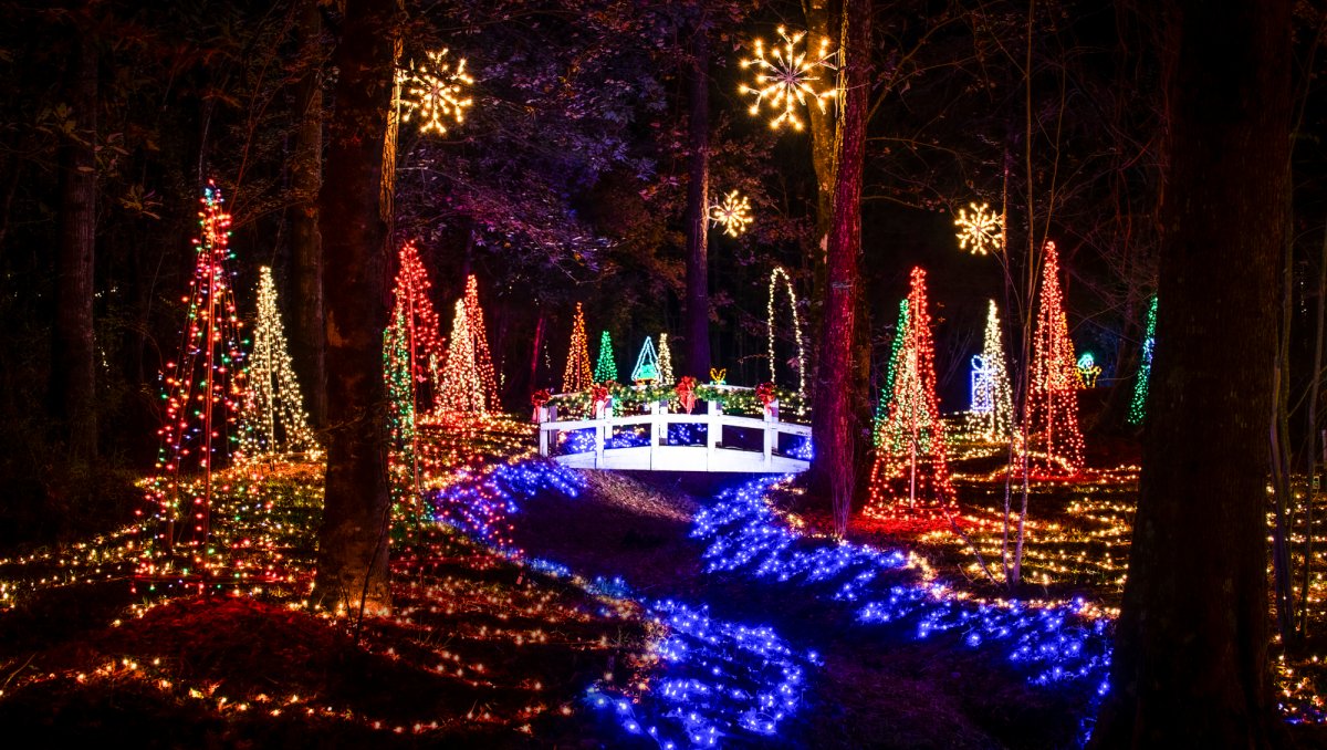 Christmas lights lit up in woods and on bridge at Mike's Farm in NC.