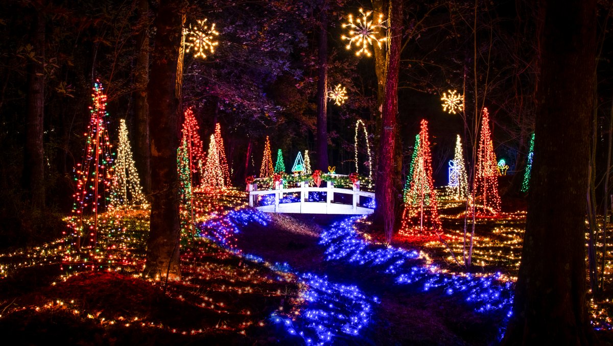 Christmas lights lit up in woods and on bridge at Mike's Farm in NC.