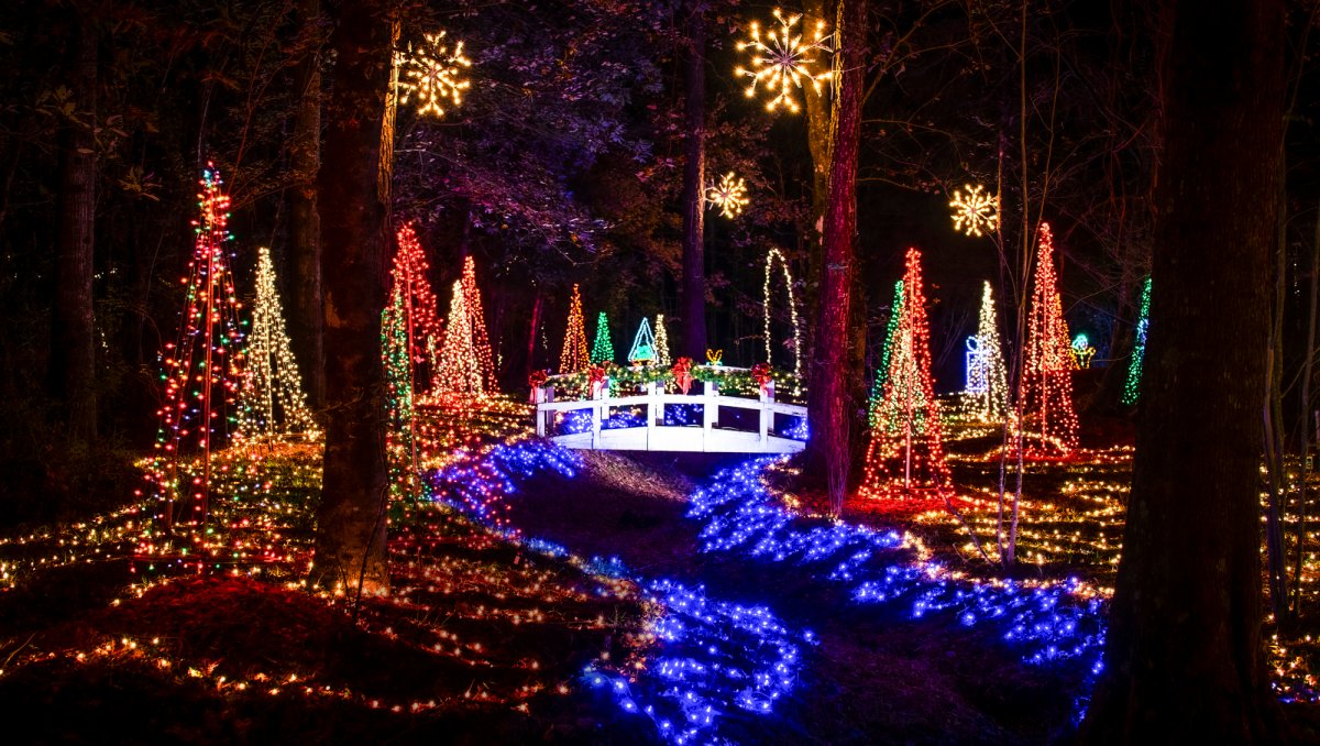 Christmas lights lit up in woods and on bridge at Mike's Farm in NC.