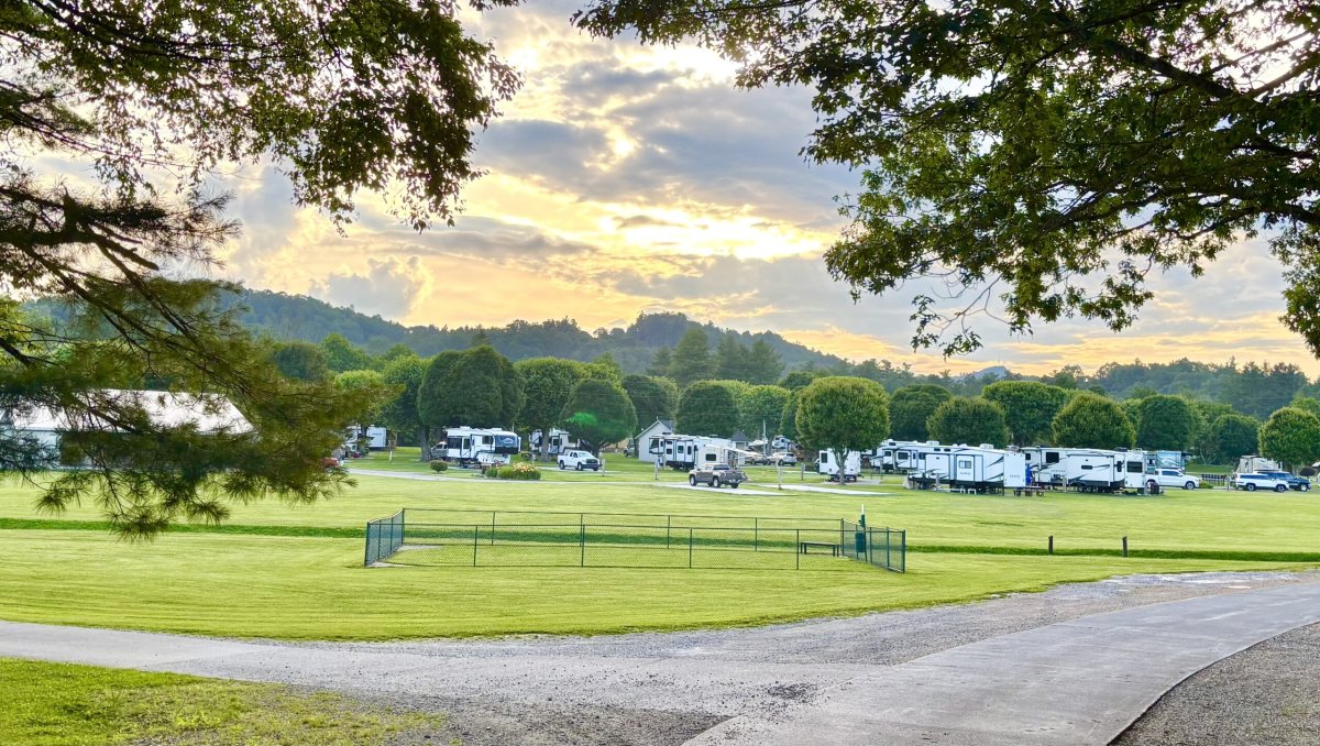 RVs in distance in wide-open campground during daytime.