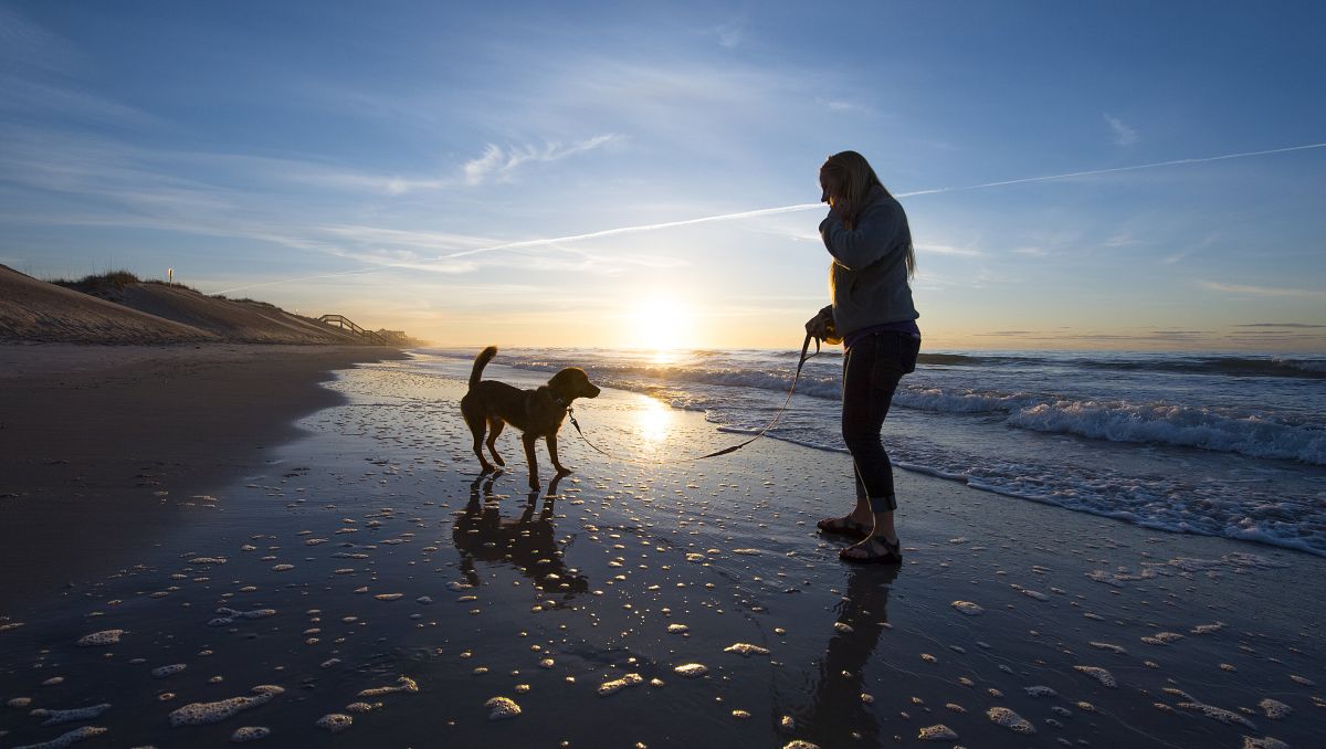 Woman holding dog on leash on empty beach with sun and ocean in background