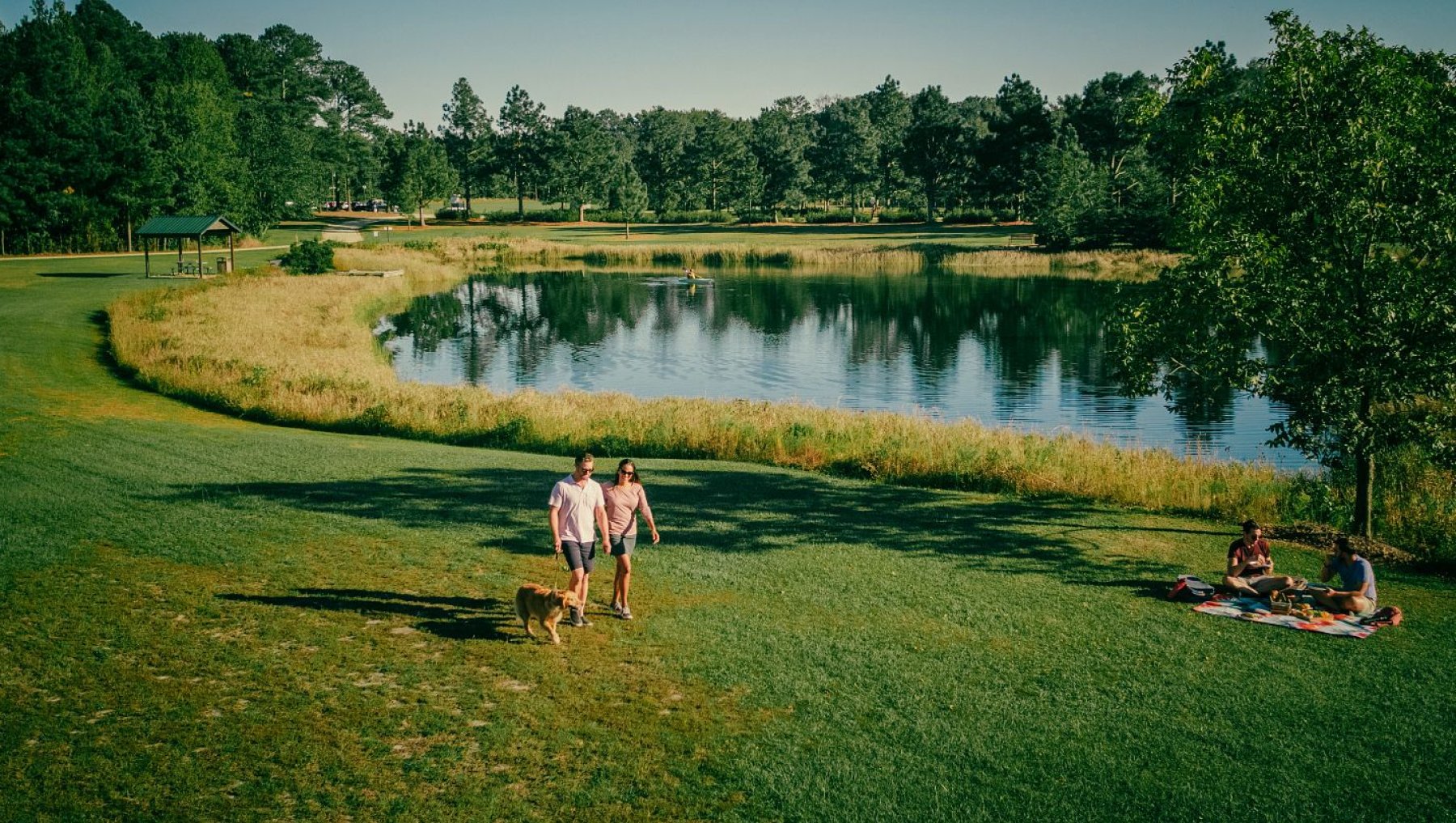 People walking a dog and picnicking near pond in a park
