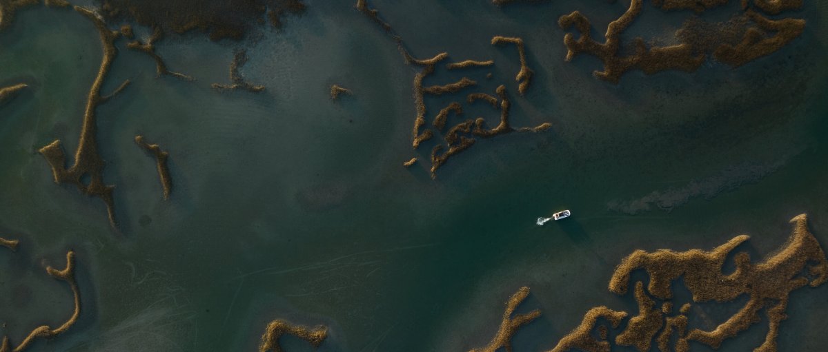 Aerial of boat taking an oyster tour through marshes of NC.