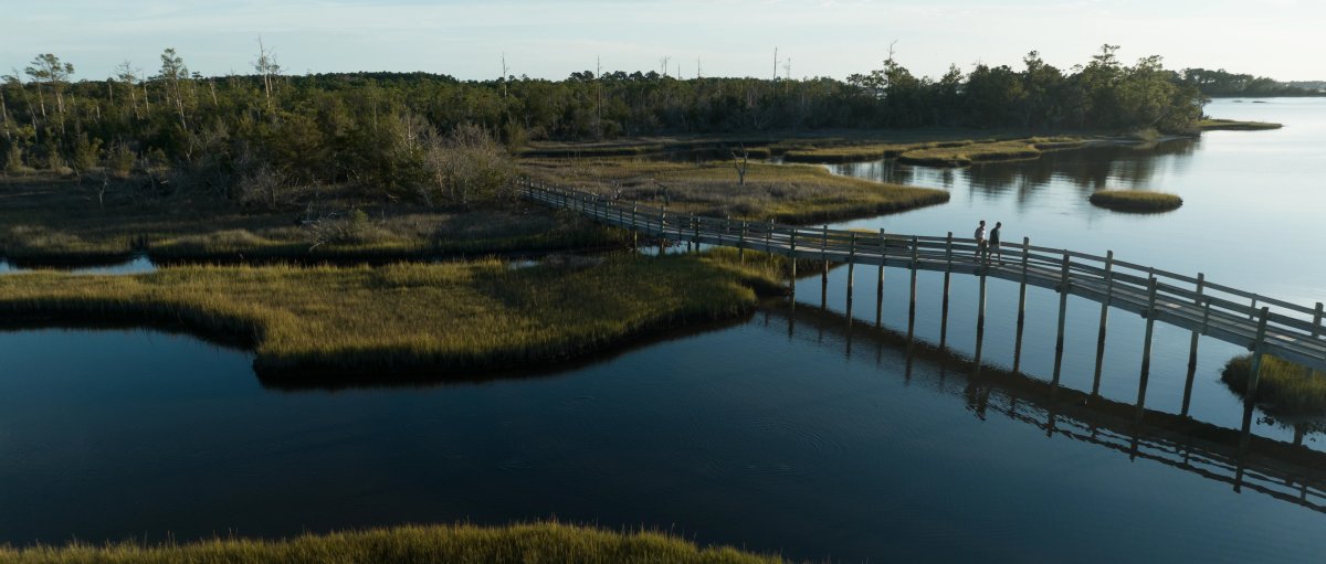 Aerial of national coastal forest with water, marshes and a wooden bridge