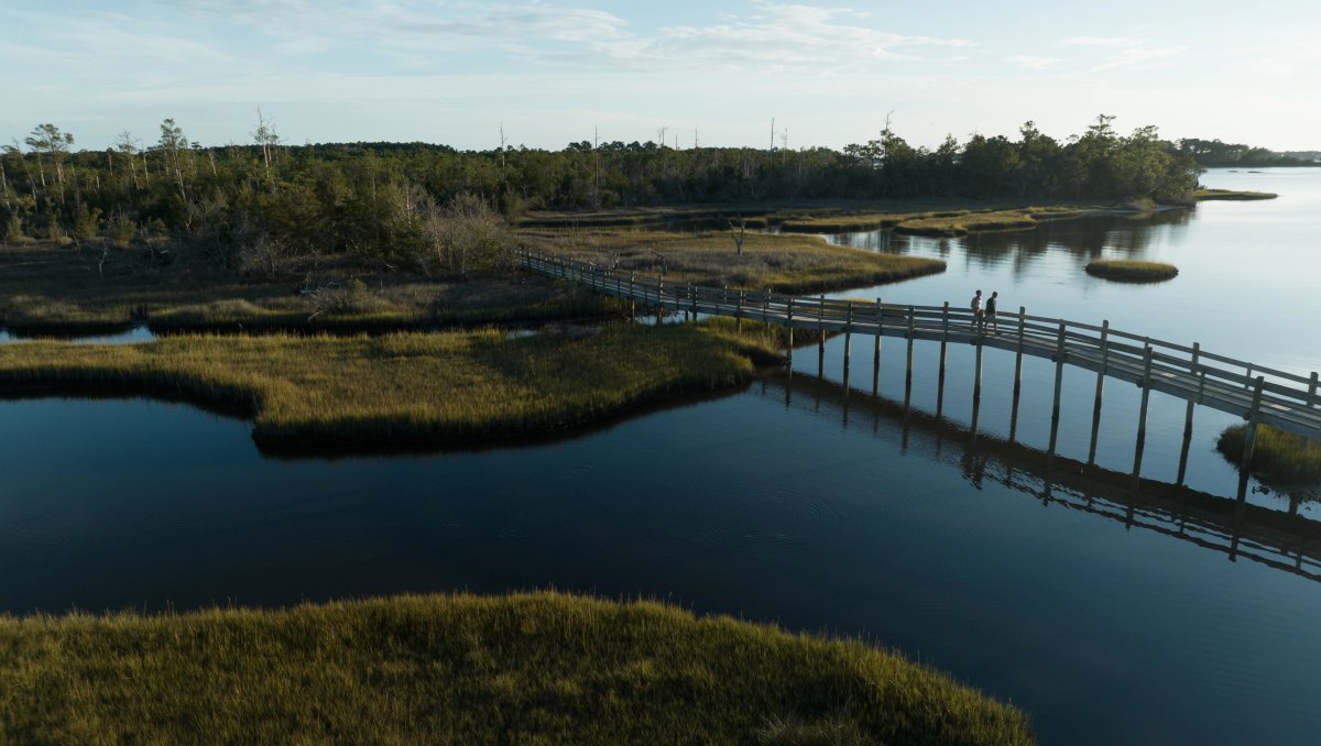 Aerial of national coastal forest with water, marshes and a wooden bridge