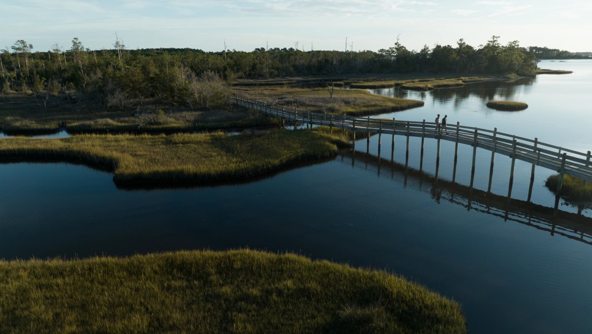 Aerial of national coastal forest with water, marshes and a wooden bridge