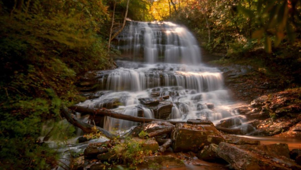 Waterfall streaming onto rocks and branches surrounded by fall foliage