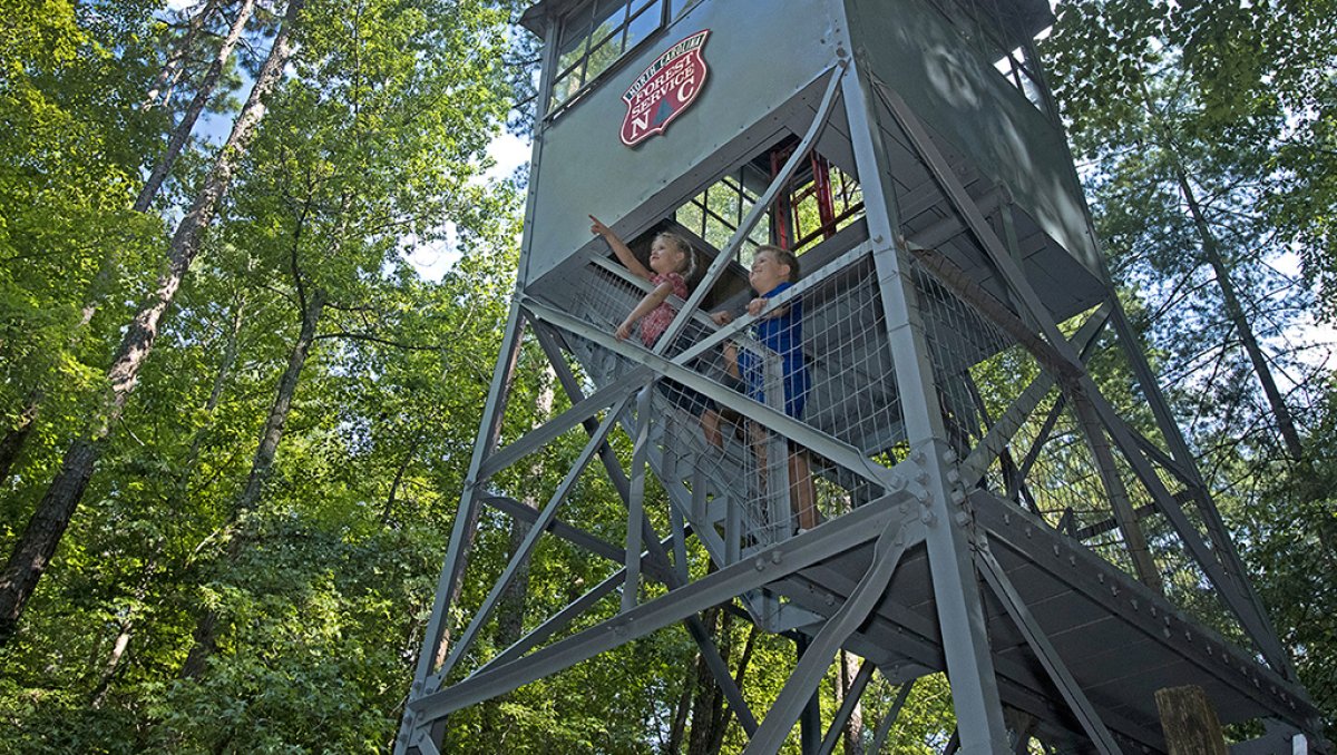 Children playing on tower in Clemmons Educational State Forest surrounded by trees during daytime