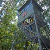 Children playing on tower in Clemmons Educational State Forest surrounded by trees during daytime