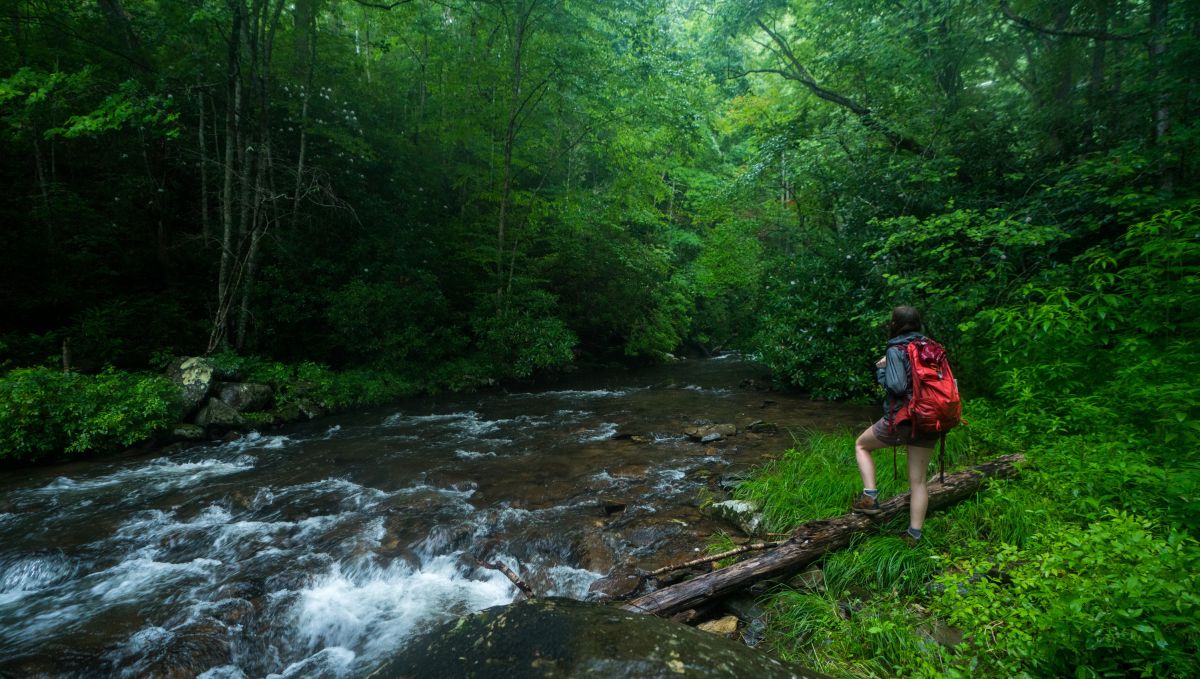 dilemma Såvel jogger 10 Beautiful Places to Visit Across North Carolina | VisitNC.com