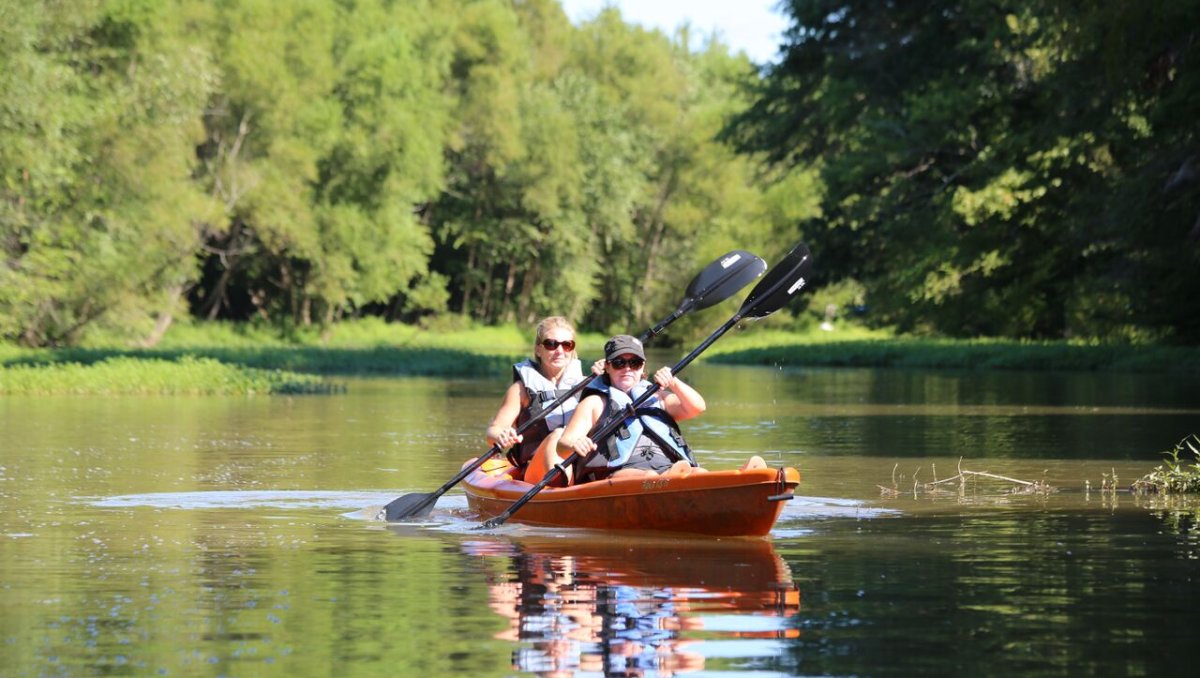 Two friends kayaking through calm river surrounded by trees.