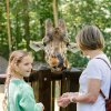 Mom and daughter hand-feeling giraffe at North Carolina Zoo