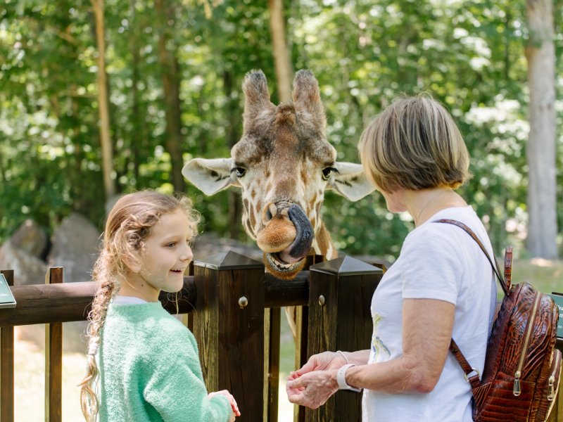 Animal Encounters in North Carolina | Zoos & Safaris | VisitNC.com