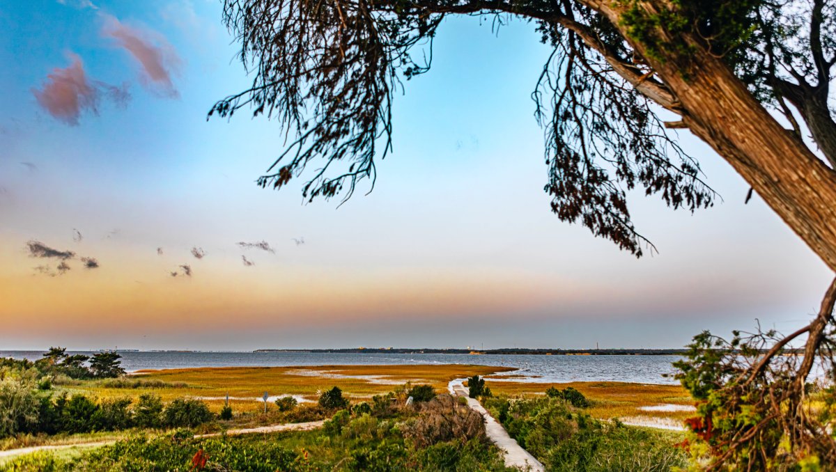 Long-range shot of marsh, water and trails under pretty sky