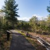 Paved walking trail with display on left, surrounded by green trees and foliage during daytime