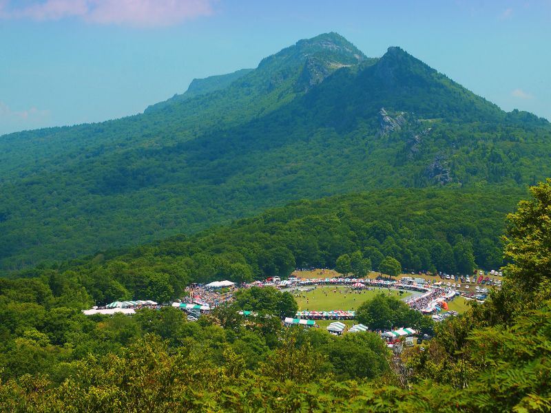 Grandfather Mountain Highland Games in North Carolina | VisitNC.com