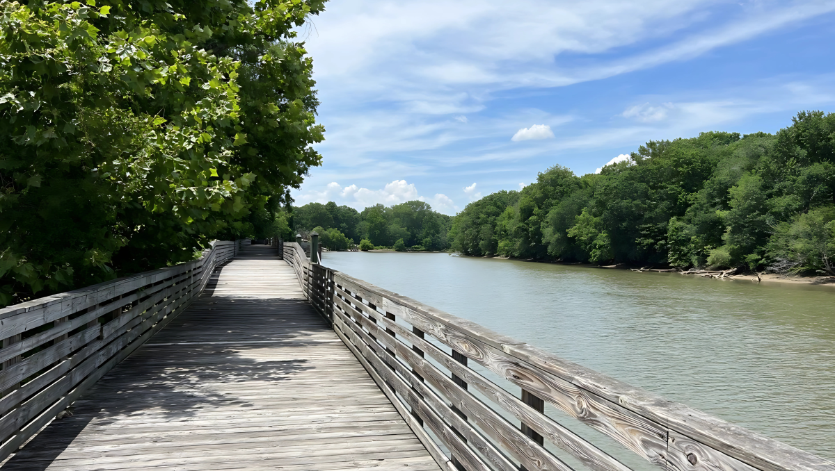 Wooden Roanoke River Boardwalk with river to right on sunny day.
