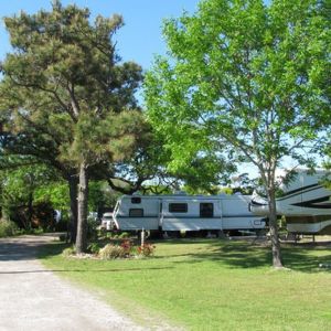 Escape to Paradise: Your Guide to North Carolina's Cape Woods Campground