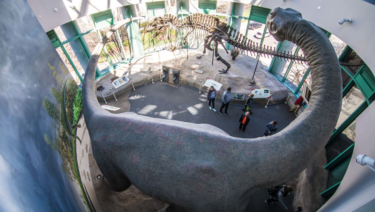 Dinosaur and visitors at North Carolina Museum of Natural Sciences