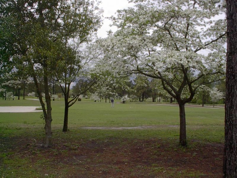 Scothurst Golf Course