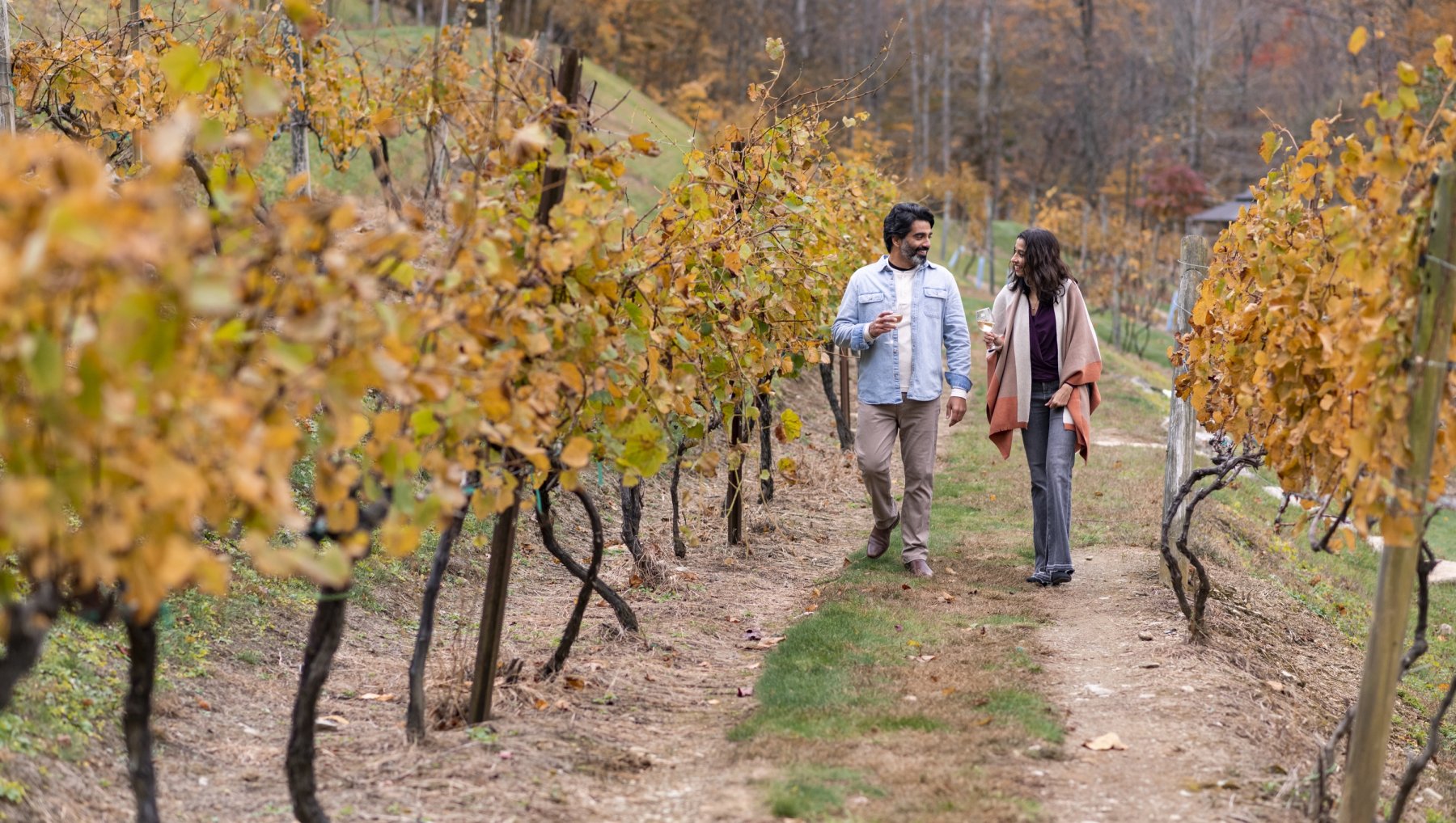 A person and person walking in a vineyard
