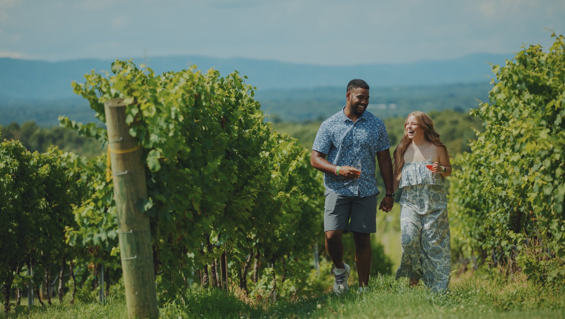 Couple holding hands and drinking wine walking through vineyard with mountains in background.