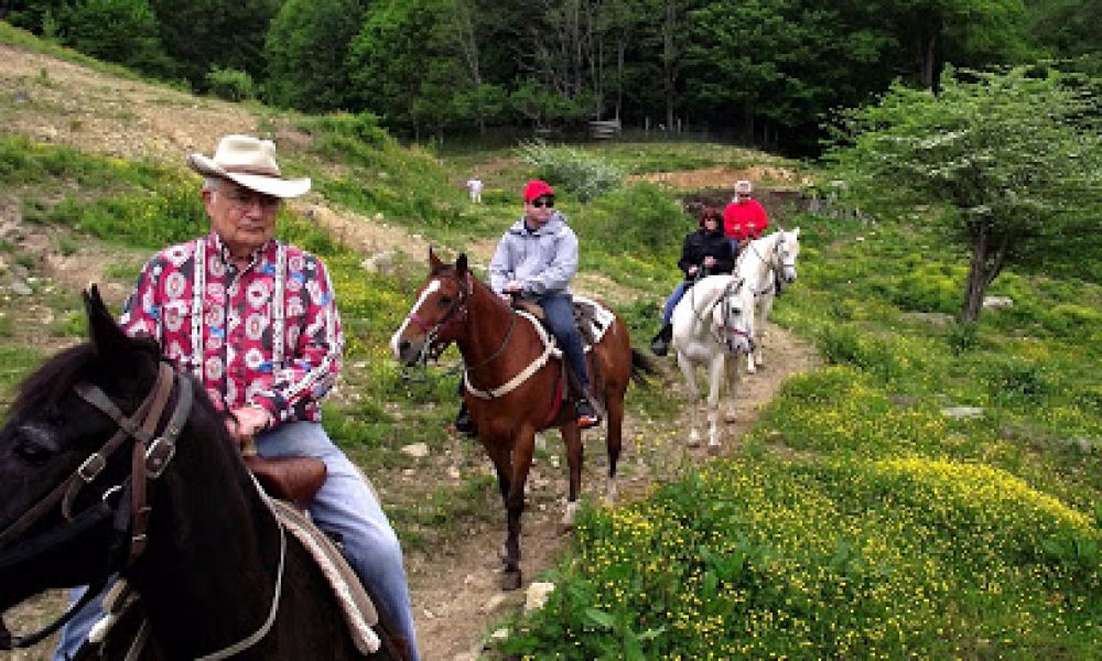 Banner Elk Riding Stables Visitnc Com