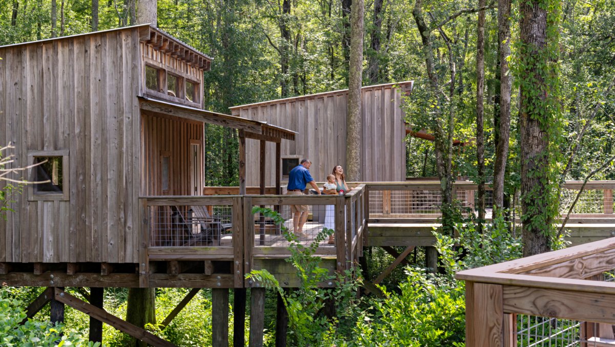 A family enjoys the serene surroundings from the wooden deck of a modern treehouse nestled in a lush forest. Elevated on stilts, the rustic structures blend harmoniously with the greenery, creating a peaceful retreat among the trees.