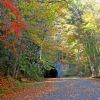 The Road to Nowhere tunnel in fall