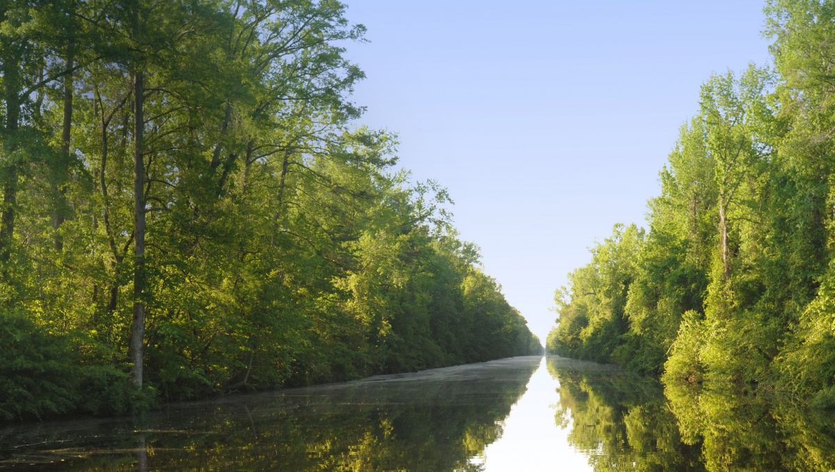 Birding Kayaking Fishing Amp Hunting At N C Wildlife
