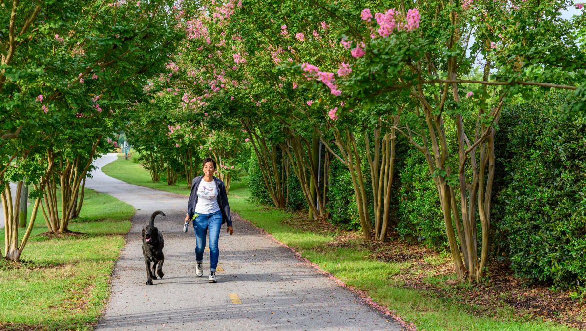 Hit the Hiking Trails in Central North Carolina - Piedmont Hikes