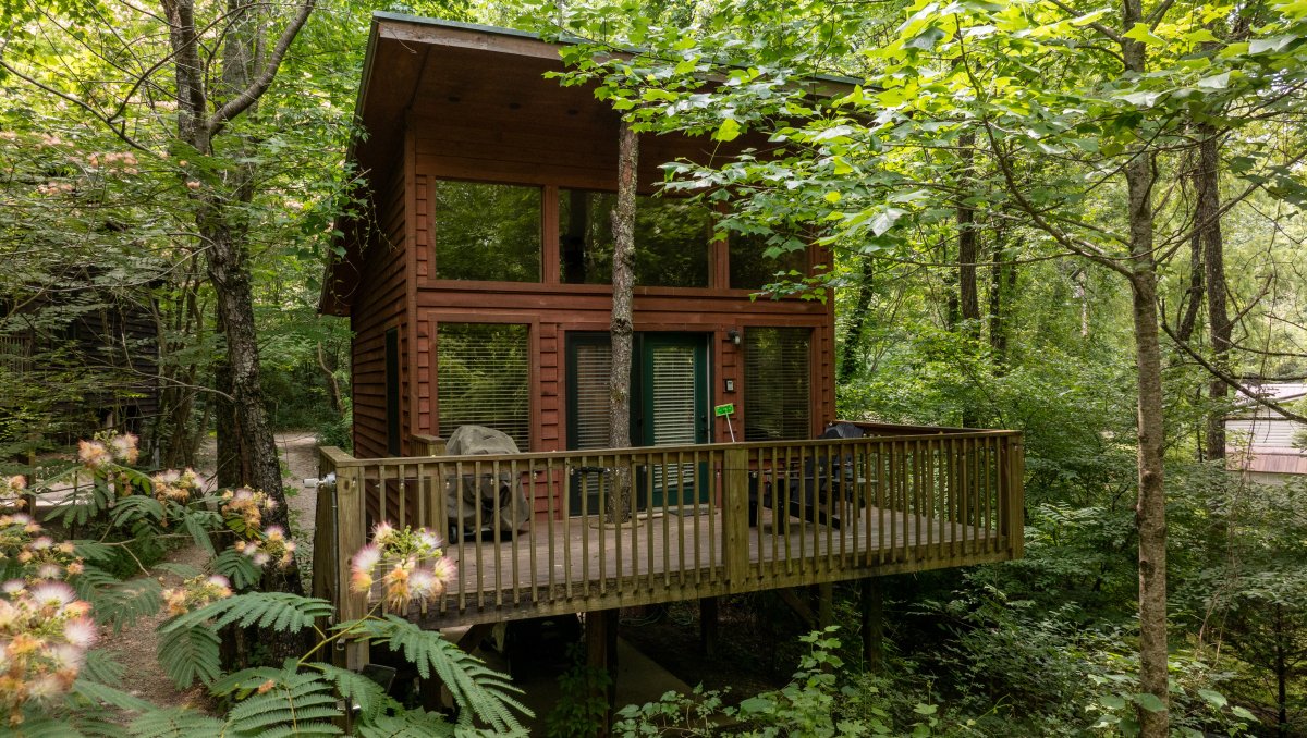 Exterior of treehouse surrounded by green foliage and trees at treehouse resort.