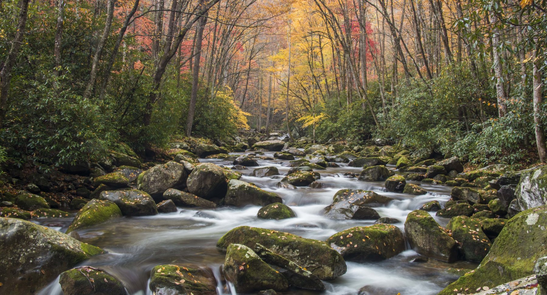 The Great Smoky Mountains National Park