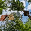 Person climbing on aerial adventure park under canopy of green trees