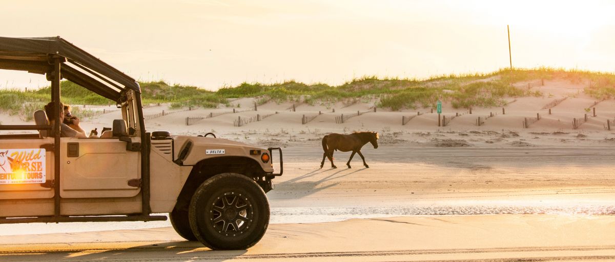 wild horse tour nags head nc