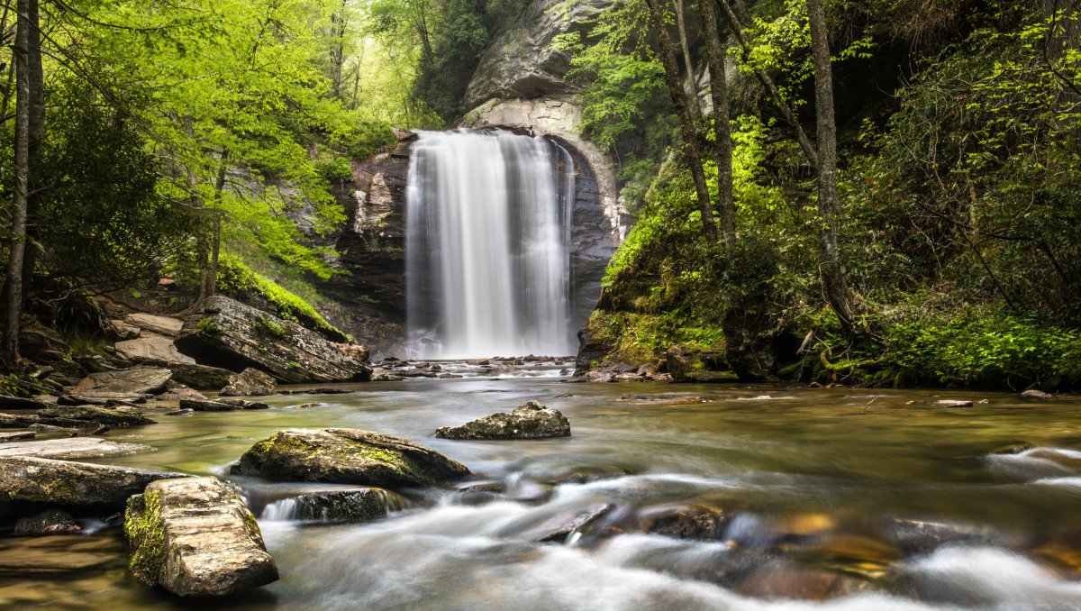 Download Looking glass falls nc Free