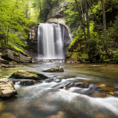 10 Iconic Things to Do in Brevard, North Carolina | VisitNC.com