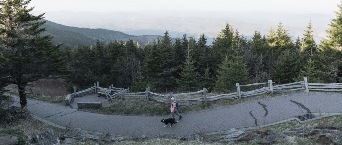 Person walking dog on paved trail with trees and mountain vistas in backbround