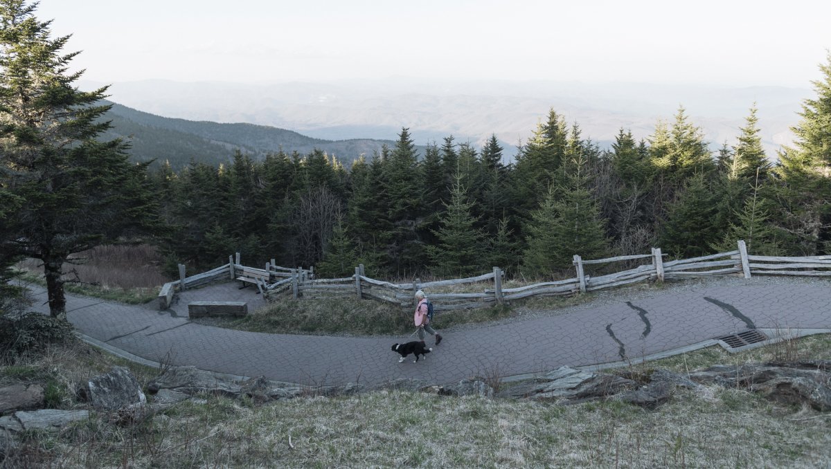Person walking dog on paved trail with trees and mountain vistas in backbround