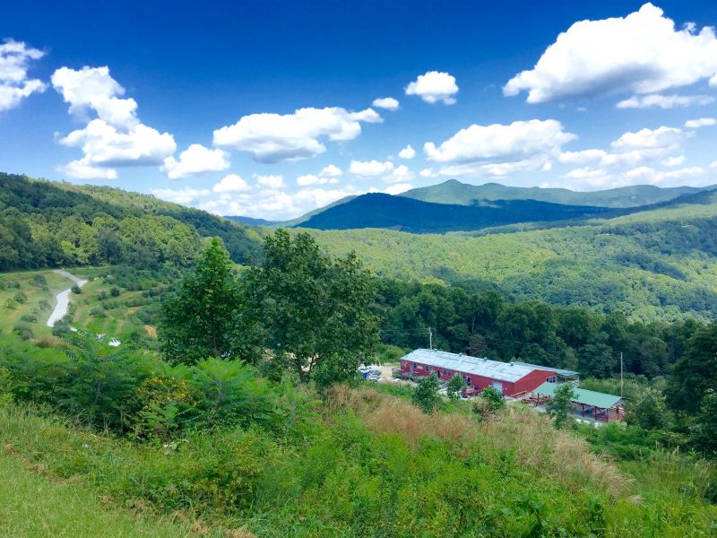 The Orchard at Altapass