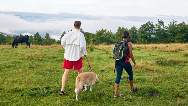 Two people walking a dog on field atop mountain with clouds cover mountains in distance