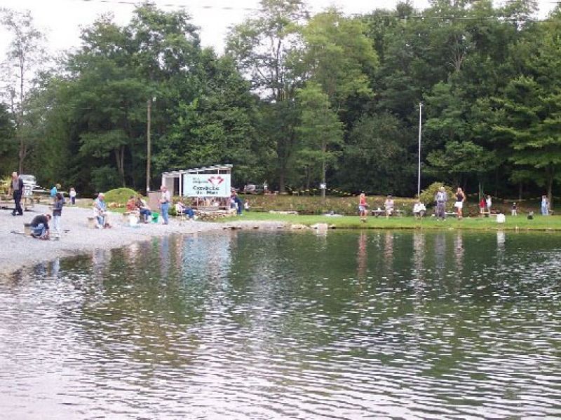 Grandfather Trout Farm, Gem Mine | VisitNC.com