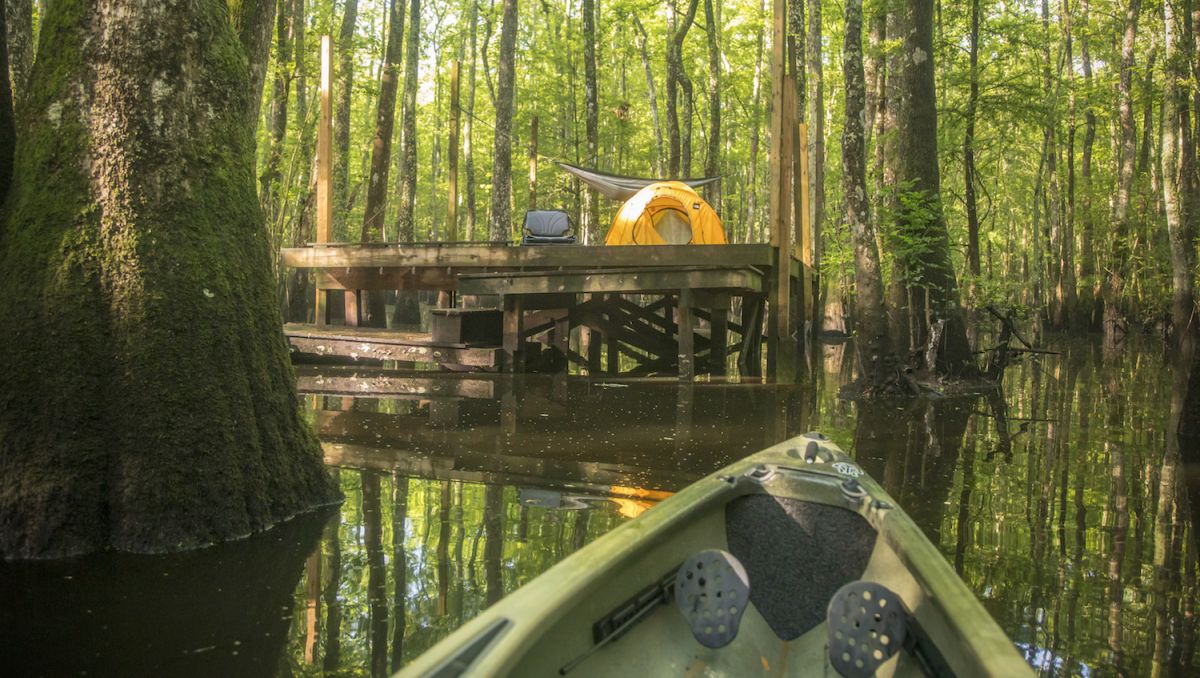 Camping On The North Carolina Coast Visitnc Com