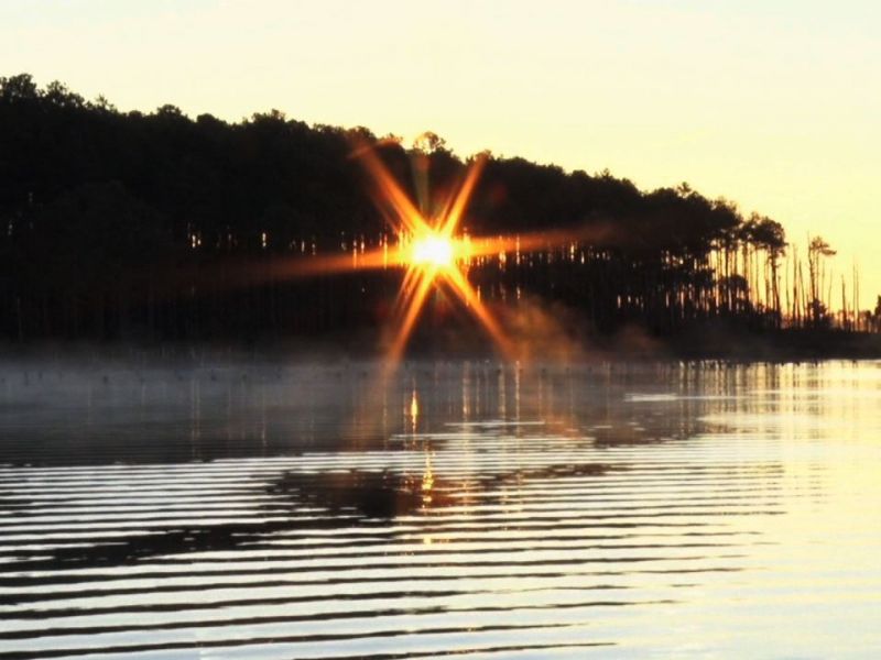 Swan Quarter National Wildlife Refuge